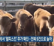 고창에서 ‘럼피스킨’ 추가 확진…전북 9건으로 늘어