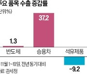 이달 반도체 수출 1.3% 증가…14개월 만에 부활