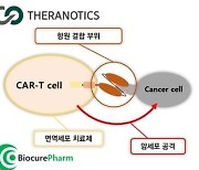 세라노틱스, 바이오큐어팜과 면역세포치료제 공동개발 협약