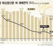 [그래픽] 올해 쌀 생산량 370.2만t…집중호우·면적 감소로 1.6%↓