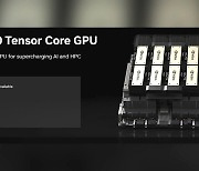 엔비디아, 최신 AI 칩 공개…AMD와 한판 승부 [글로벌 비즈]