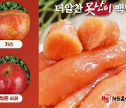 NS홈쇼핑 ‘못난이 농수산물’ 편성 확대