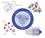 KAIST, 인공지능 결합한 홀로그래픽 현미경 기술 조망