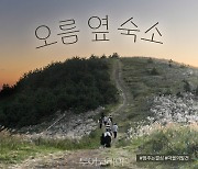 제주 자연을 그대로의 멋을 즐기는 법 '오름 옆 마을 숙소에 머물기'