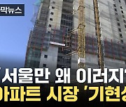 [자막뉴스] "서울만 왜 이러지?"...아파트 시장 '기현상'