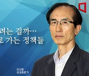 [논단]뭘 하려는 걸까‥산으로 가는 정책들