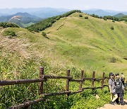 기차 타고 ‘리틀 백록담’ 오르고, MTB 타고 ‘배추 고원’ 달리고