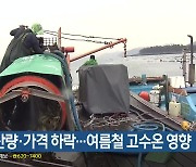 굴 생산량·가격 하락…여름철 고수온 영향