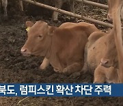 경북도, 럼피스킨 확산 차단 주력