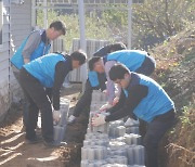 한국저영향개발협회, 신기술 활용해 수해 지역 복구 ‘기부 시공’ 진행