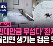 [스브스픽] '빈대만큼 무섭다' 최근 환자 5배 급증…물리면 생기는 검은 딱지