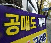 공매도가 주가 하락 주범?…국내외 학계 “금지 조치가 되레 시장에 해로워”