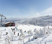 해발 1340m 설경 속 하이원리조트 스키장···내달 8일 공식 개장