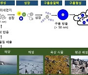 남극 미세먼지, 어떻게 구름이 될까…극지연구소 구름형성 관측