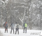 강원북부산지 '대설주의보'…강원중부산지에 대설예비특보