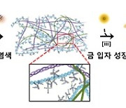 KAIST, 인공장기 생체 단백질 모방 금속 필름 개발