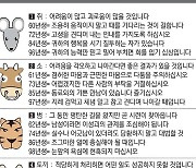 [직장인을 위한 오늘의 운세] 2023년 11월 16일 목요일 오늘의 띠별 운세 (음력 10월 4일)