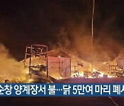 순창 양계장서 불…닭 5만여 마리 폐사