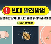 대전 주택 2곳서도 빈대 발견…합동대책본부, 2800곳 점검