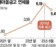 '부실채권 12조' 새마을금고, 자산관리社 설립 속도낸다