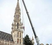 BELGIUM BRUSSELS CHRISTMAS TREE