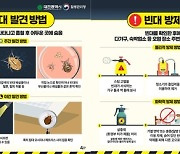 대전 주택 2곳서도 빈대 첫 발견…합동대책본부, 2천800곳 점검(종합)