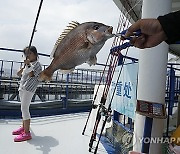 Protein Problem Fish Farms