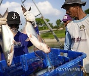 Protein Problem Fish Farms