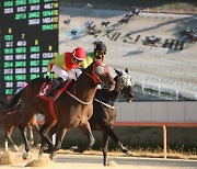 디펜딩 챔피언 '어마어마' 제16회 국제신문배 우승