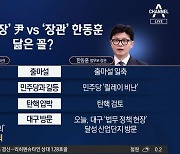 2년 전 대구 찍고 정계로…윤석열과 한동훈 닮은꼴?