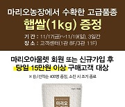 마리오아울렛서 15만원 이상 사면 선착순 햅쌀 1㎏ 선물