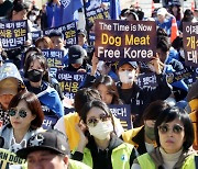 Seoul to push through bill to ban dog meat consumption