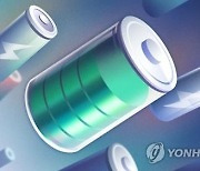 美폐배터리株 추락에 LG화학·LG엔솔 ‘유탄’