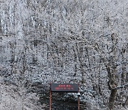 오늘 서울서 ‘첫눈’ 보나… 내일은 전국 영하권