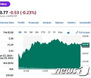 테슬라 0.30% 상승한 234달러에 마감