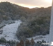 산에도 내려앉은 하얀 눈