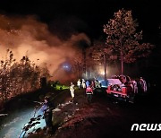 강원 고성 산불, 29분 만에 진화완료