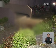 아파트서 초등생이 던진 돌에 70대 사망…항공편 결항에 승객 불편