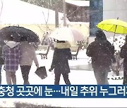 대전·세종·충남 곳곳에 눈…내일 추위 누그러져