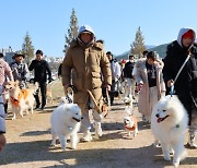 양산시 반려동물 문화축제 1500여 명 참석 성황