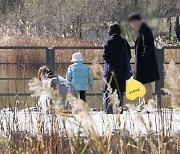 충청·호남 첫눈부터 함박눈…주말 영하권 강추위