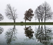 Germany Weather