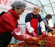 강남구 세곡동 힐링텃밭서 첫 수확한 배추로 김장