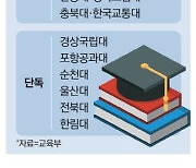 "뭉쳐야 글로컬 혜택" 통합 서두르는 지역대