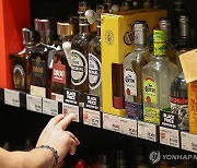 위스키 매출, 수입 맥주 넘어서