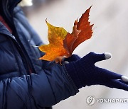 [날씨] 내륙 아침 기온 영하권…큰 일교차 주의