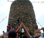 INDONESIA-SOUTH KALIMANTAN-PINEAPPLE FESTIVAL