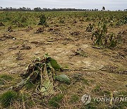 Kentucky Climate Impacts