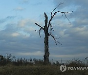 Kentucky Climate Impacts