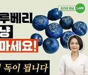 냉동 블루베리, 우유보다 오트밀크와 갈아먹는 게 좋은 이유[정세연의 음식처방]